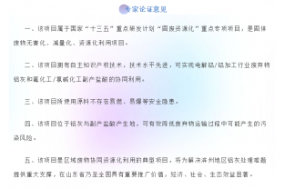 “鋁灰/副產(chǎn)鹽酸資源化利用項目”專家論證會