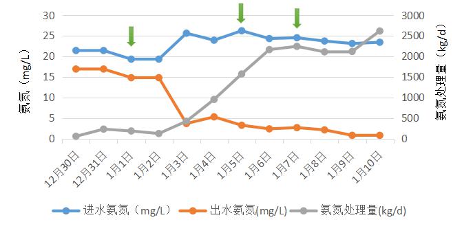 城鎮(zhèn)污水處理生化系統(tǒng)修復項目