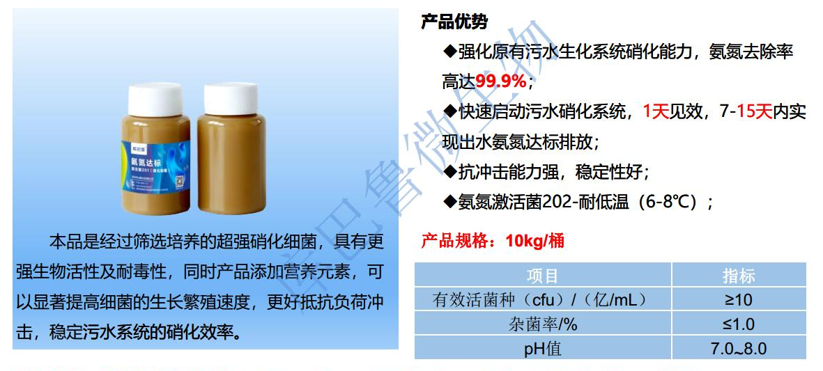 低溫氨氮激活菌1