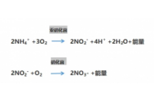 食品廢水氨氮超標(biāo)，你可以這么做